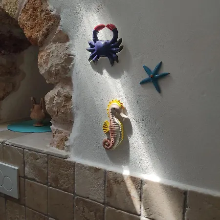Liama Sull'aia Nyaraló *