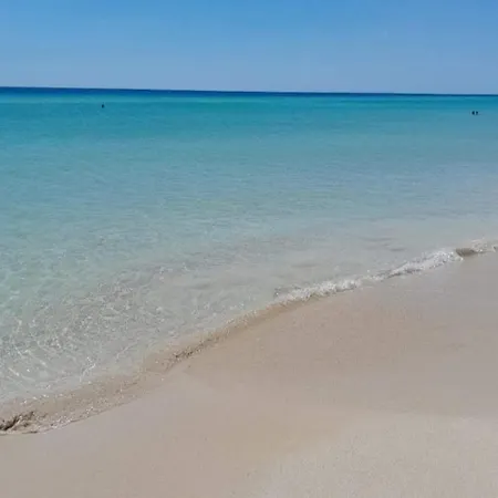 Liama Sull'aia Nyaraló