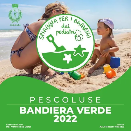 Liama Sull'aia Nyaraló *