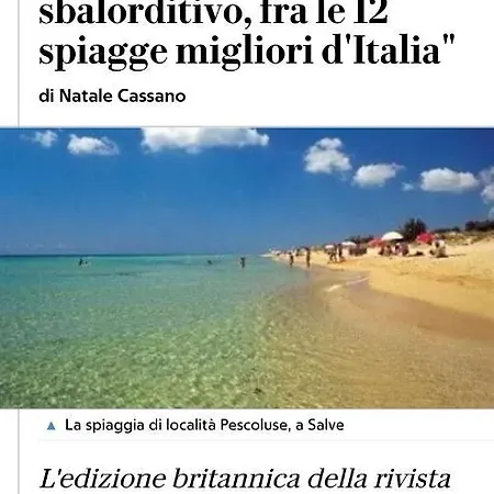Liama Sull'aia